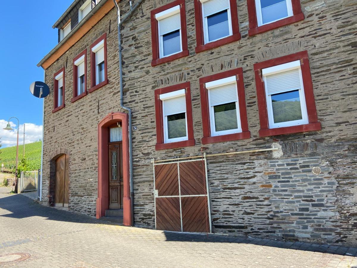 Catlen Apartment